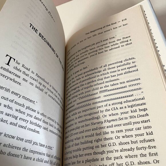 How Not to Calm a Child on a Plane by Johanna Stein Hardcover Book GUC - Picture 7 of 8